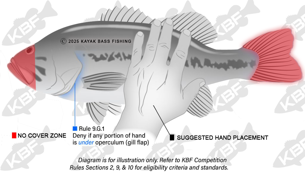 KBF hand placement diagram showing the no-cover zone, Rule 9.G.1 denial area under the operculum, and suggested hand placement on a bass
